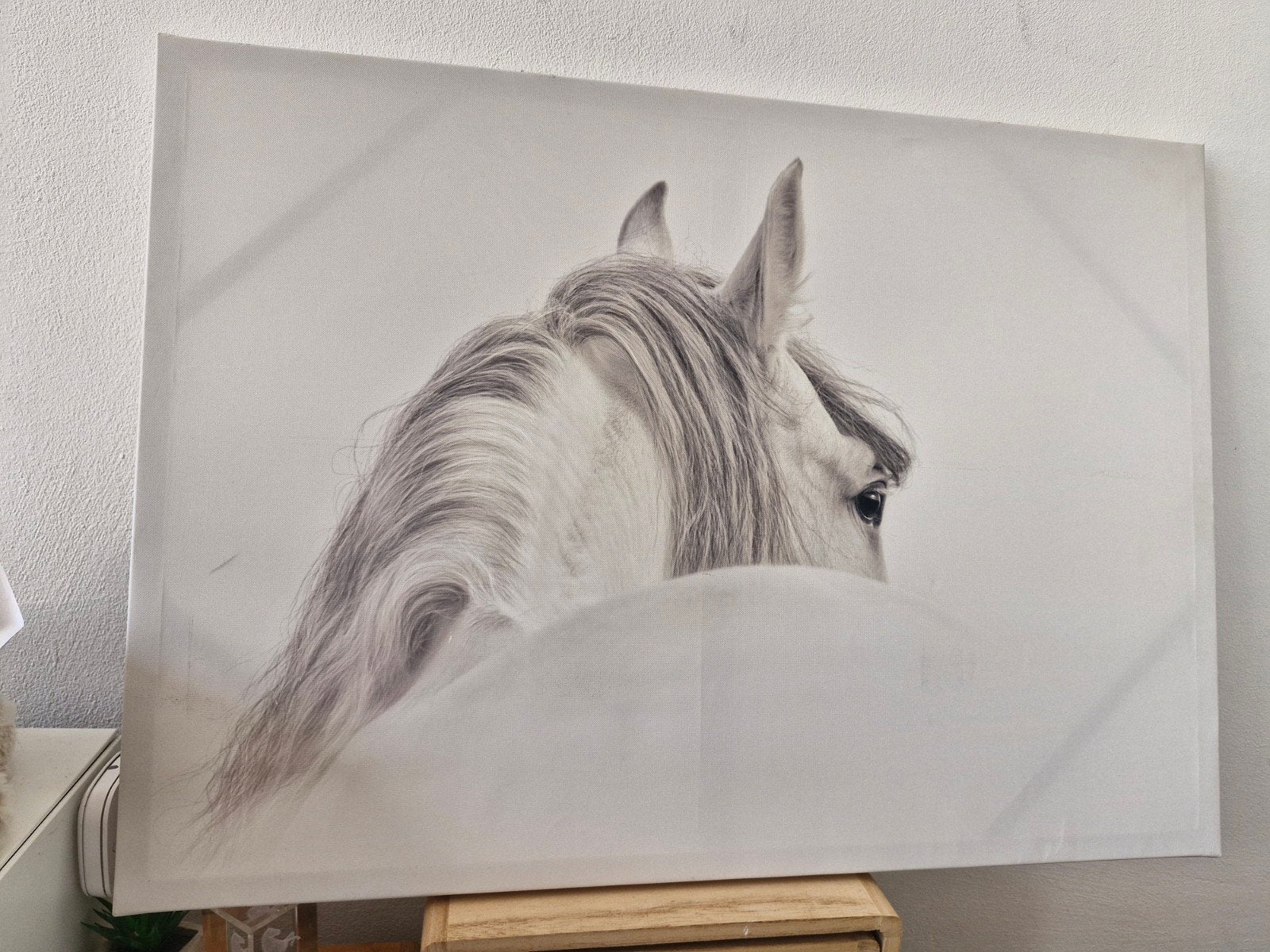 paard op canvas te koop, Antiek en Kunst, Ophalen