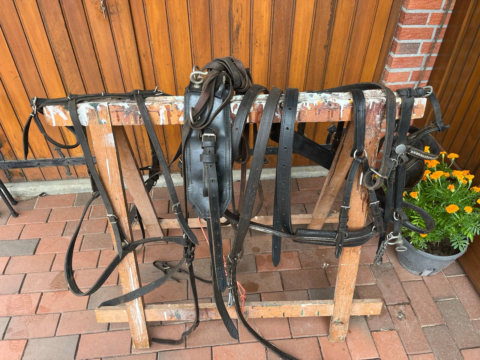 Kompleet Tuig voor C pony en ophangbeugels, Dieren en Toebehoren, Ophalen