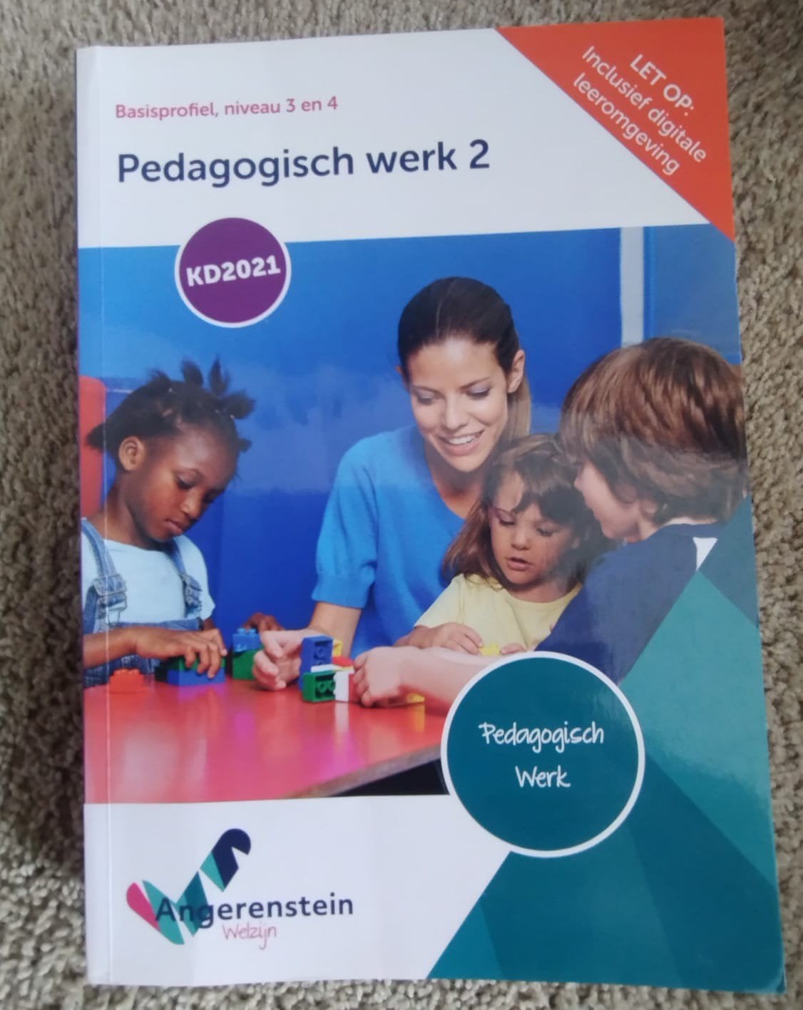Pedagogisch werk 2, Angerenstein, Basisprofiel niveau 3 en 4, Ophalen of Verzenden, Zo goed als nieuw, Overige niveaus, Overige vakken