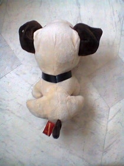 Knuffel Hond/ hals band en flap oren.Van kop tot zit 21 cm, Ophalen of Verzenden, Zo goed als nieuw, Hond