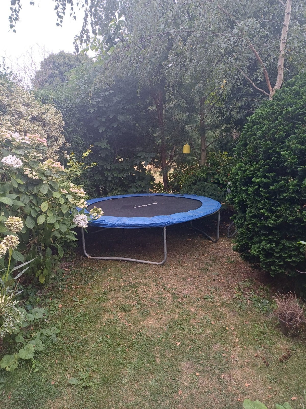 Gratis trampoline - Diameter 244 cm incl. rekjes, Ophalen of Verzenden, Gebruikt