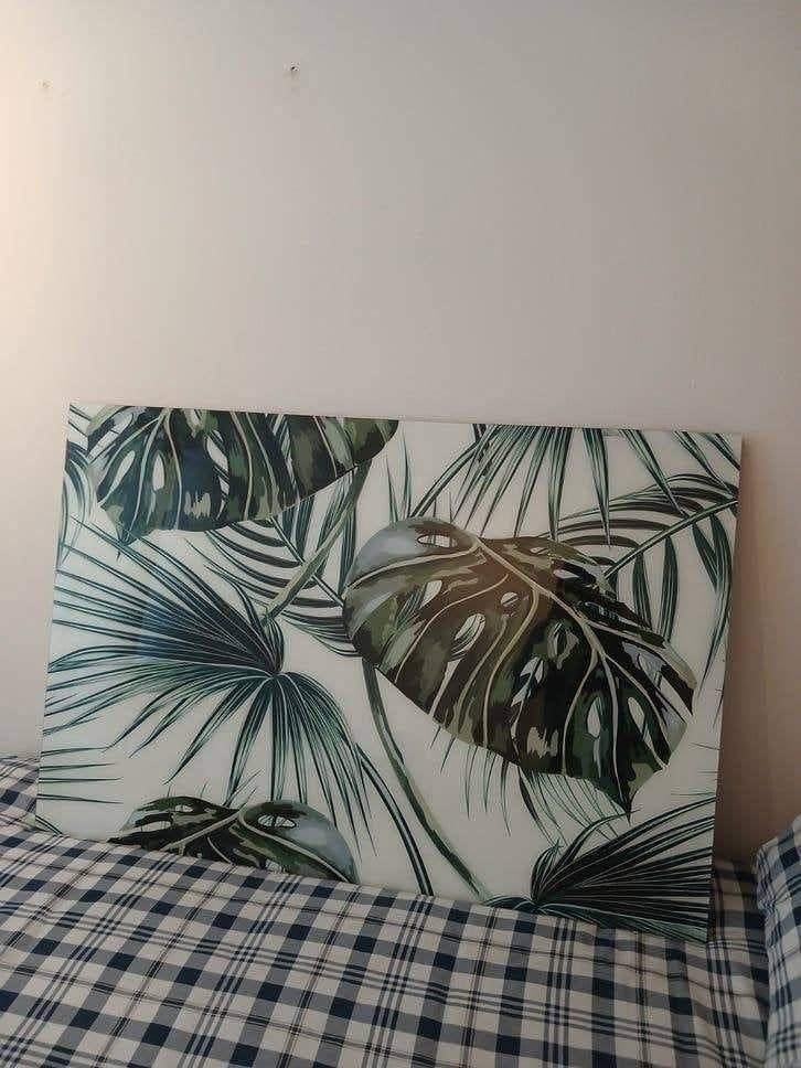 Wanddecoratie met tropische bladeren - Monstera en palm, Ophalen, Groen, Schilderij, Zo goed als nieuw