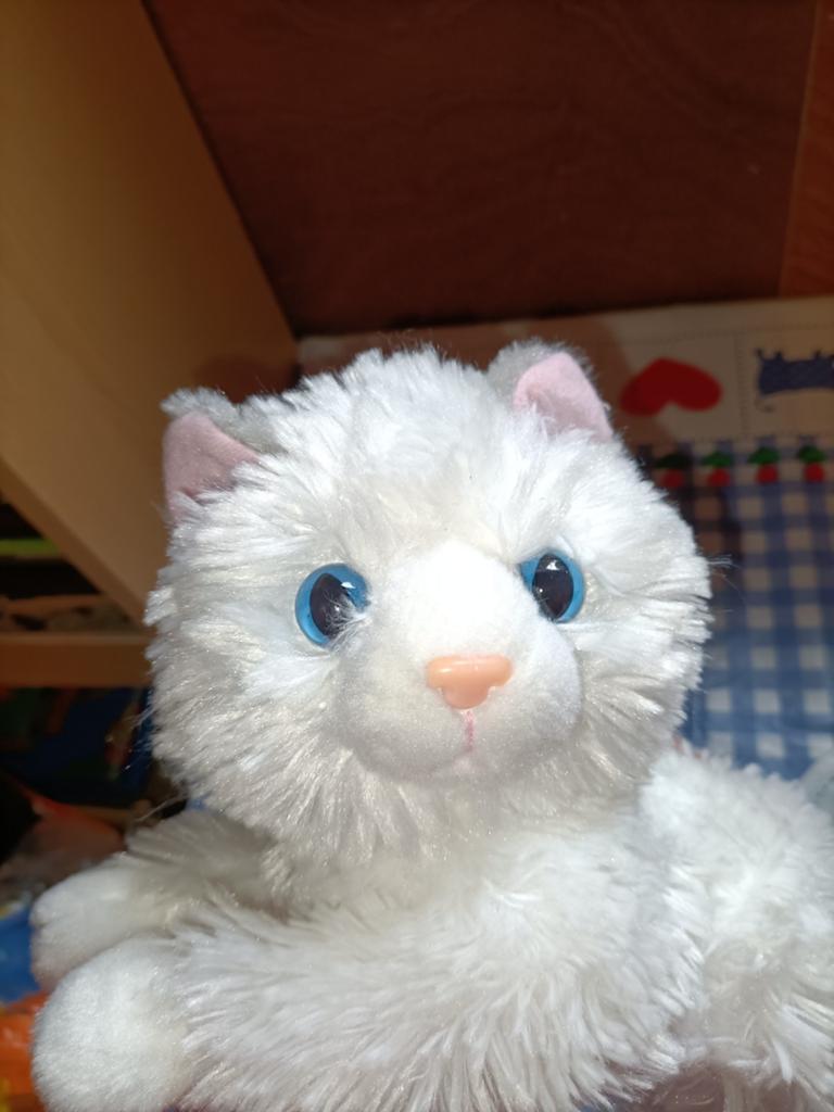 Witte kitten knuffel die kan spinnen! 27 cm groot, Ophalen of Verzenden, Zo goed als nieuw, Overige typen