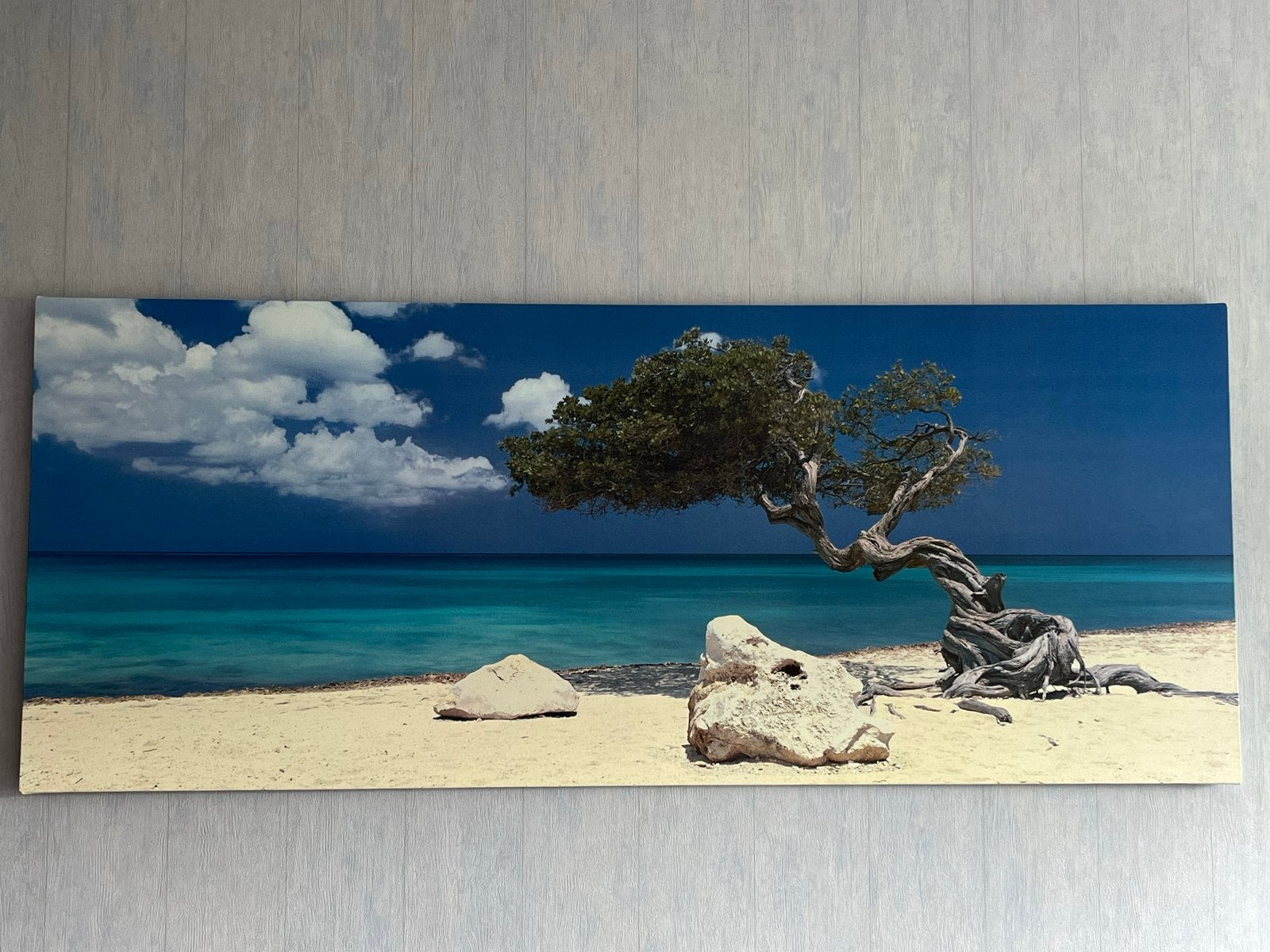 Schilderij Divi-Divi boom op strand Aruba, Ophalen, Doek, Realistisch, Landschap