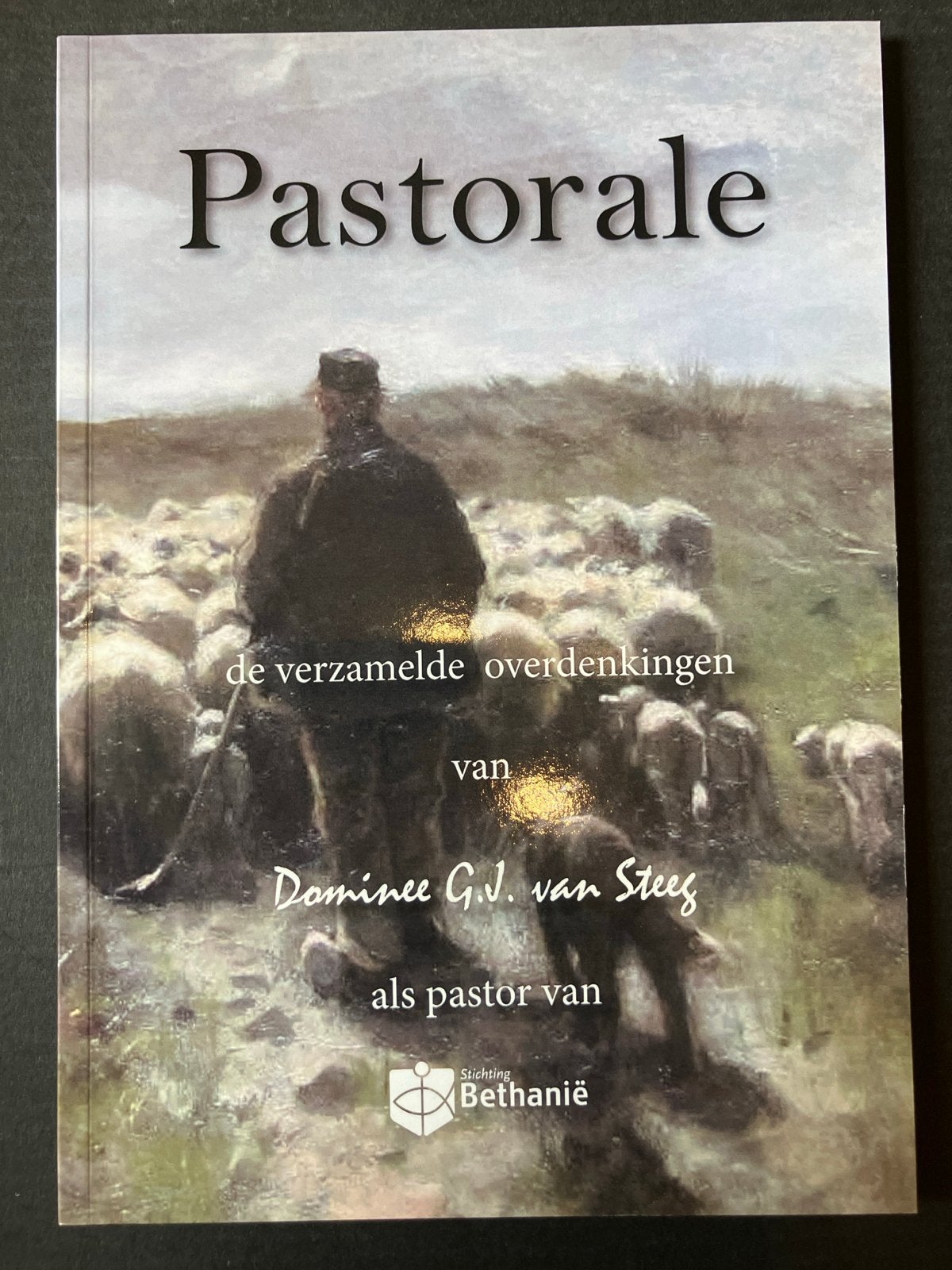Pastorale: Overdenkingen van Dominee G.V. van Steeg, Ophalen of Verzenden, Zo goed als nieuw, Christendom | Protestants