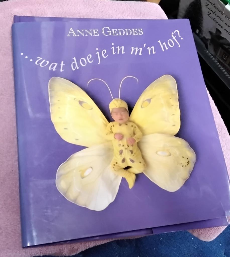 Anne Geddes, Ophalen of Verzenden, Gelezen, Plaatjesalbum