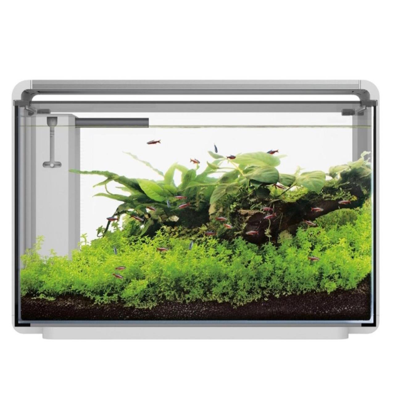 Superfish home proled 65, Ophalen, Gebruikt, Inclusief deksel, Leeg aquarium