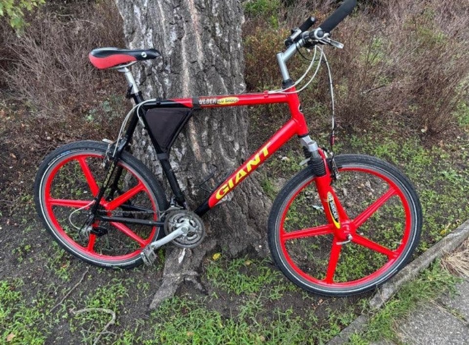 Giant Boulder, Ophalen, 26 inch, Giant, Zo goed als nieuw