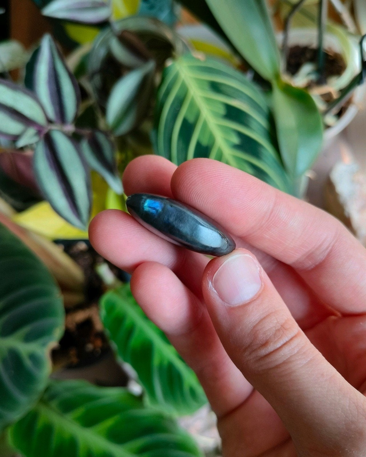 Labradoriet trommel steen / labradorite tumble, Ophalen of Verzenden, Mineraal