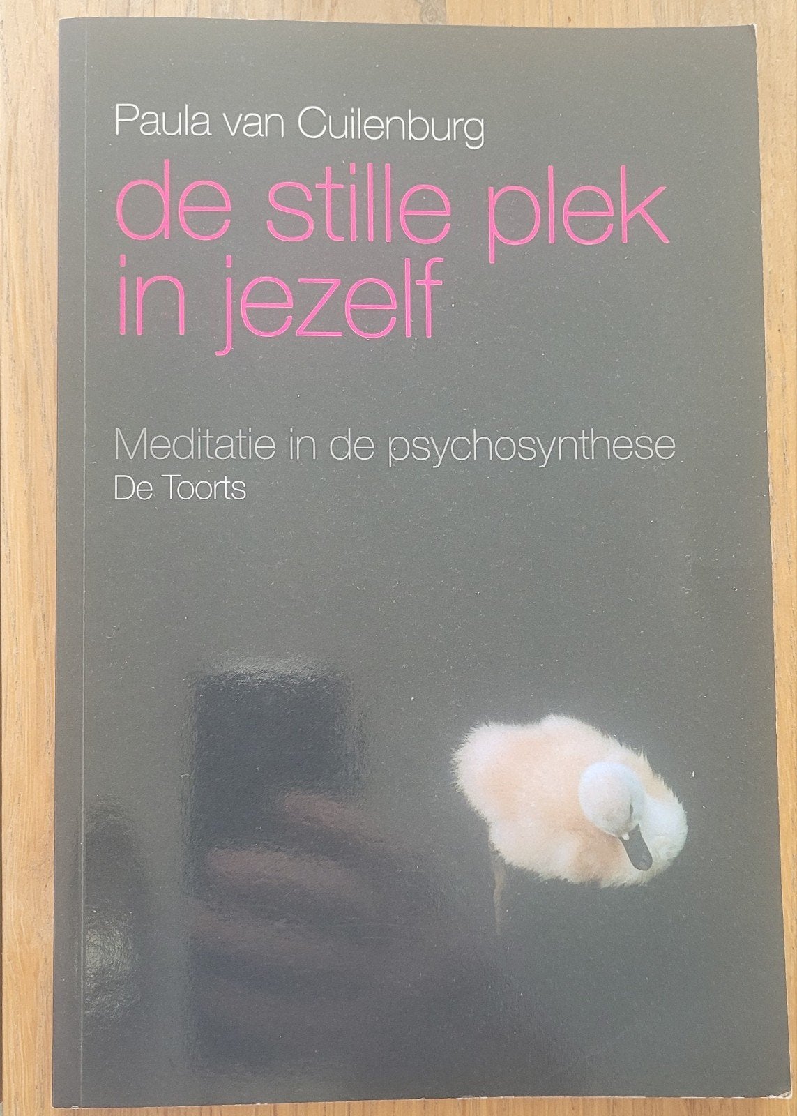 De Stille Plek in Jezelf: Meditatie in de Psychosynthese, Meditatie of Yoga, Paula van cuilenberg, Ophalen of Verzenden, Instructieboek