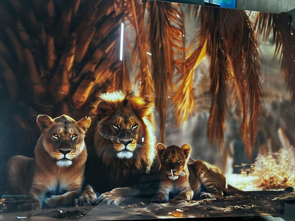 Glasschilderij 80x120cm lions, Ophalen of Verzenden