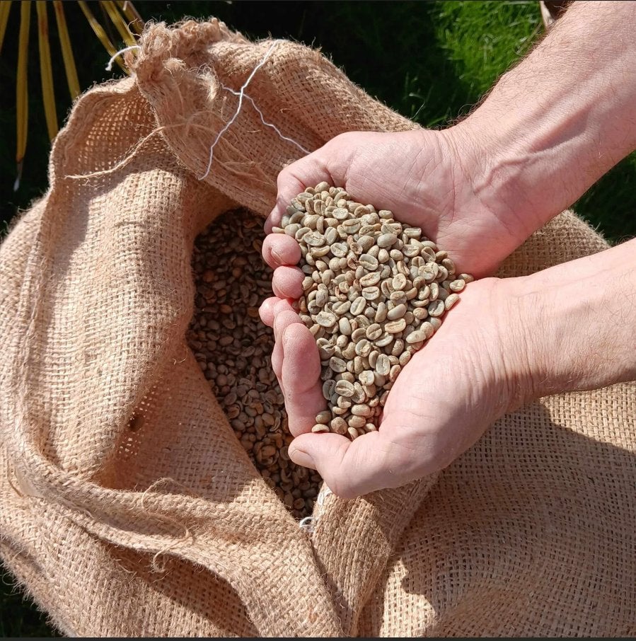 Groene koffiebonen uitstekende kwaliteit!, Ophalen of Verzenden
