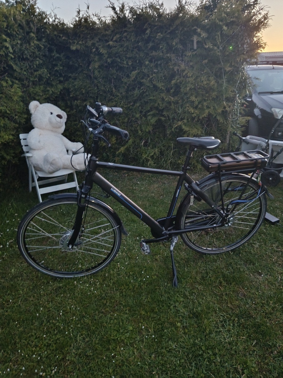 Elektrische fiets, Fietsen en Brommers, Ophalen of Verzenden, Overige merken