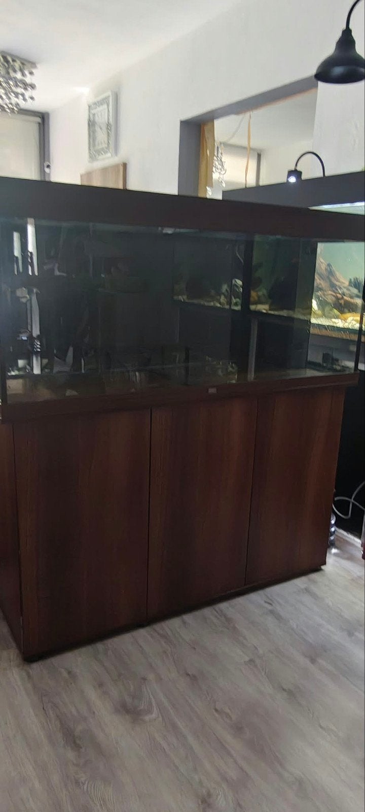 te koop juwel Rio 240 liter bak met kast

netjes in staat zo, Dieren en Toebehoren, Vissen | Aquaria en Toebehoren, Ophalen, Zo goed als nieuw