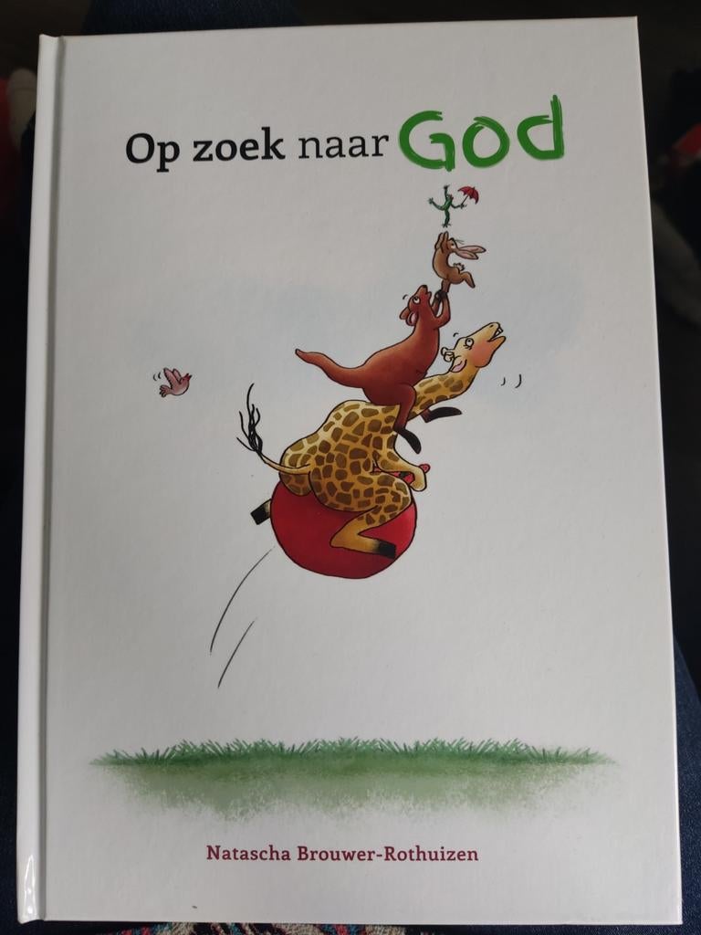 Natascha Brouwer-Rothuizen - Op zoek naar God, Fictie algemeen, Ophalen of Verzenden, Zo goed als nieuw, Natascha Brouwer-Rothuizen