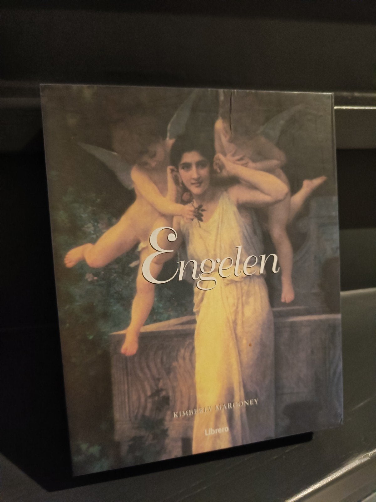 Engelen: Een Handreiking tot Spirituele Begeleiding, Boeken, Spiritualiteit algemeen, Ophalen of Verzenden, Zo goed als nieuw