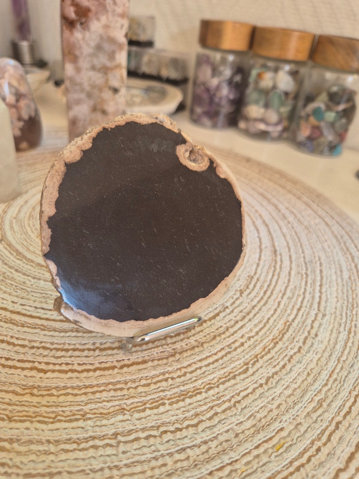 Versteend Hout, Ophalen of Verzenden, Fossiel
