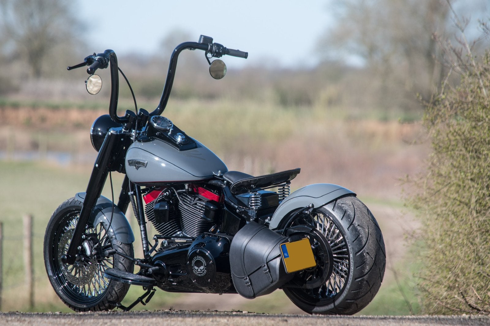 Harley Davidson softail   BTW motor. 110CI thundermax,, Motoren, Motoren | Harley-Davidson, Particulier, Chopper, meer dan 35 kW