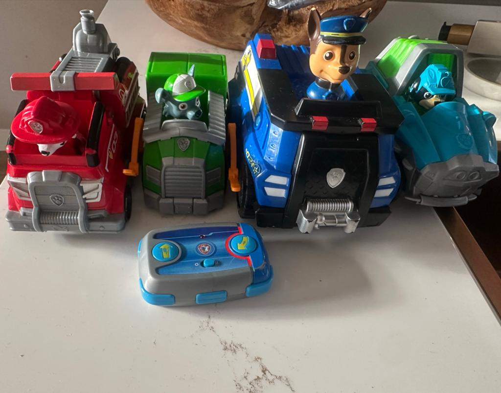 Paw Patrol Auto's - Marshall, Chase, Rocky, Rex (4 stuks), Ophalen of Verzenden, Gebruikt, Afstandsbediening