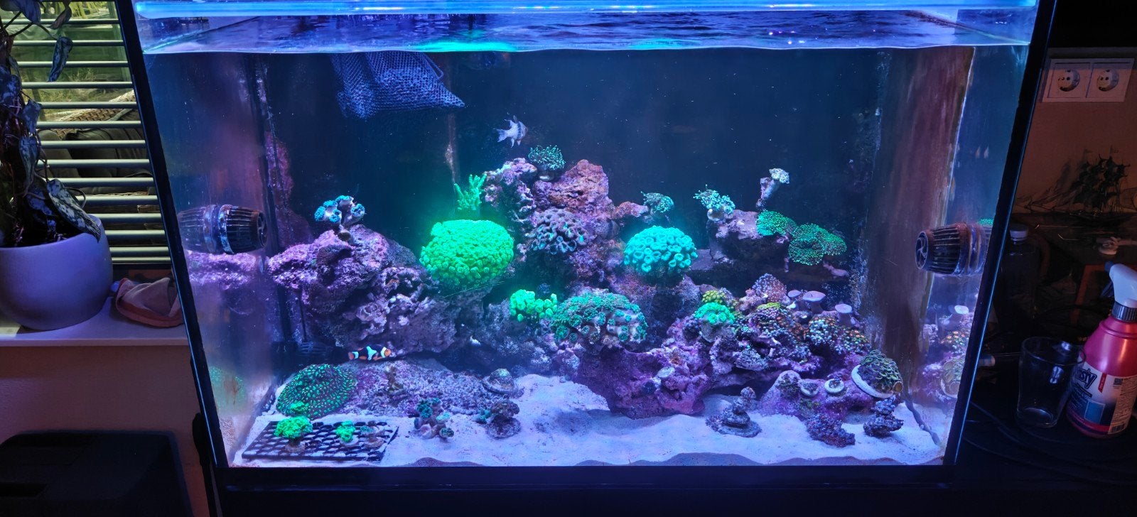 zeeaquarium compleet, Ophalen, Inclusief controller, Gebruikt