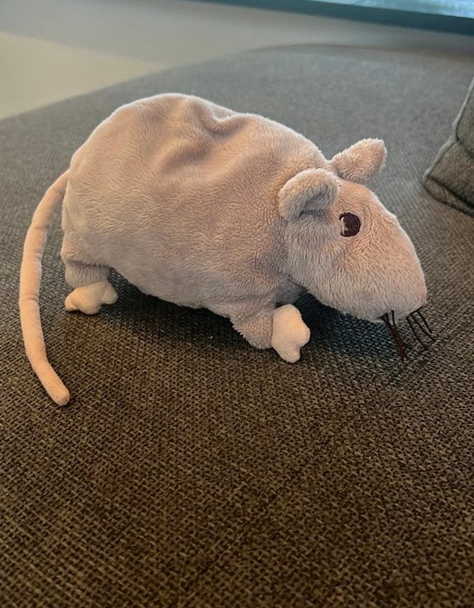 Ikea rat knuffel grijs, Kinderen en Baby's, Speelgoed | Knuffels en Pluche, Ophalen of Verzenden, Gebruikt, Overige typen