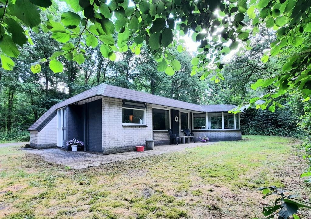 Nog plek in hoogseizoen 3p boshuisje. Honden welkom., Vakantie, Wasmachine, Groningen, In bos