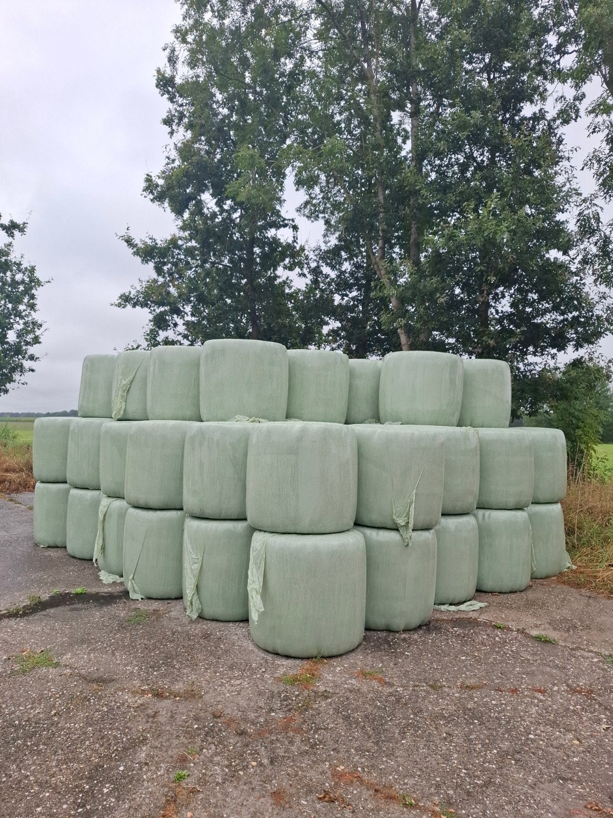 midi hooibalen, paardenhooi, Ophalen, Vee