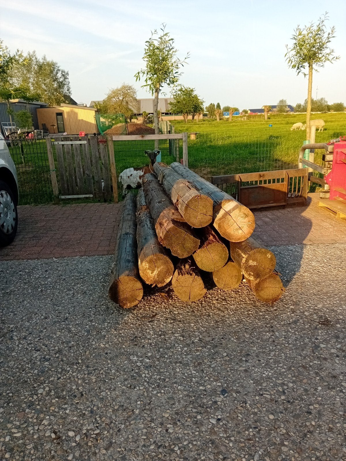 Oude balk laag balken palen hout style, Ophalen, Gebruikt, 250 cm of meer, Palen