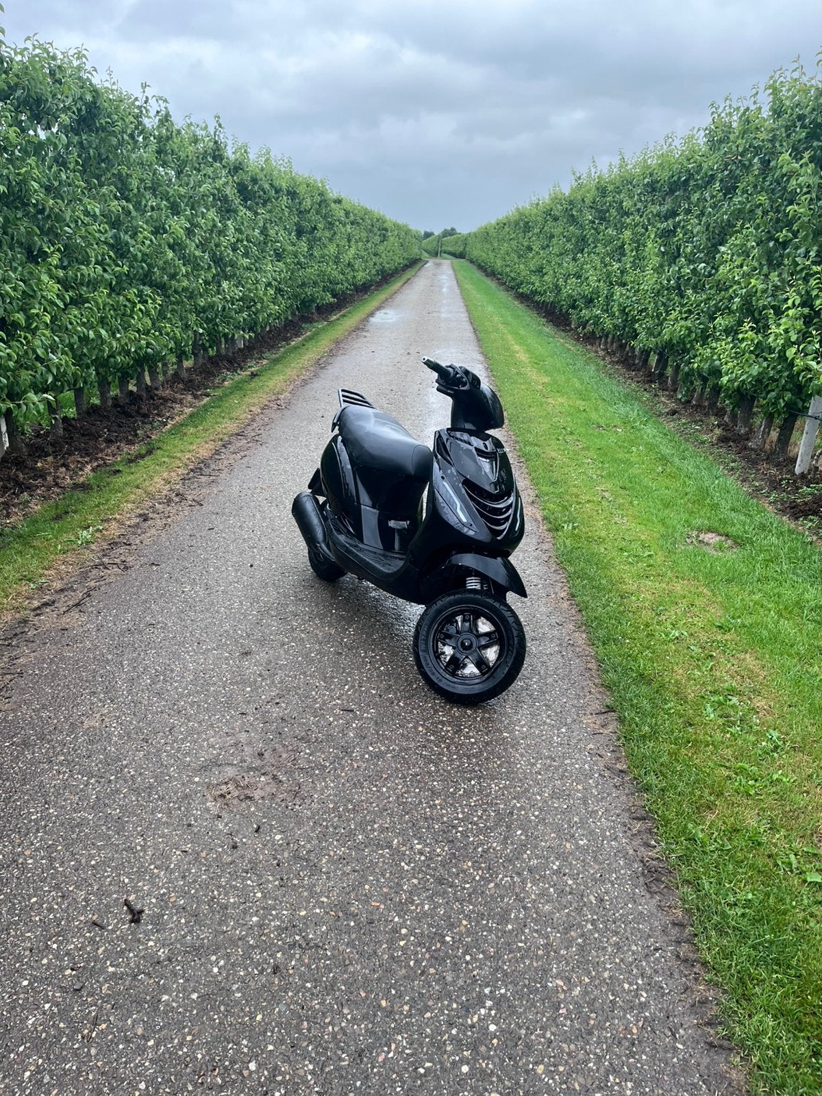 Zip 136cc brom, Ophalen, Zo goed als nieuw, Benzine, Piaggio