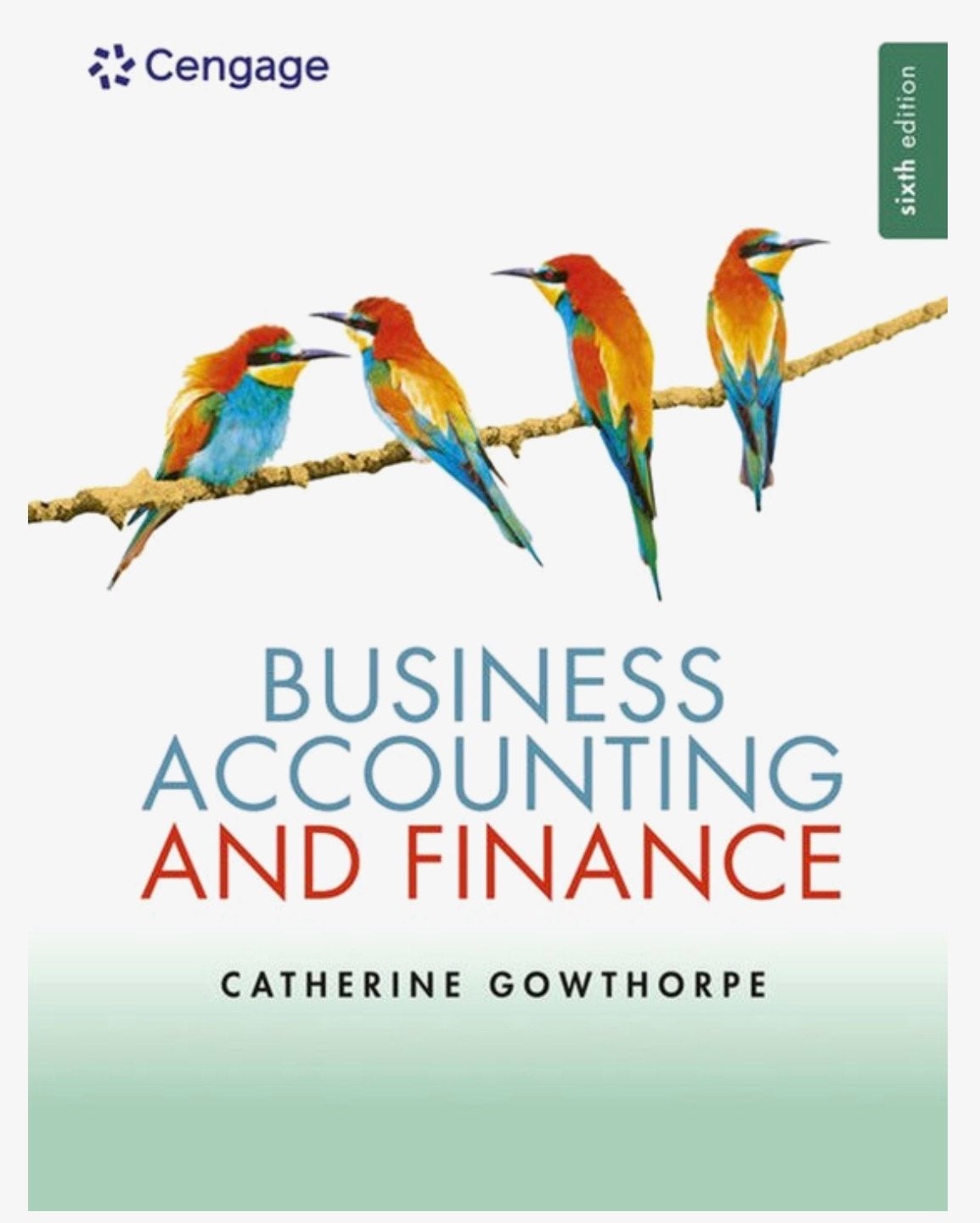 Business Accounting and Finance - Catherine Gowthorpe, Ophalen of Verzenden, Zo goed als nieuw, Accountancy en Administratie