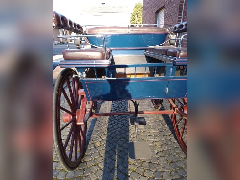 Rijtuigen en koetsen, Overige typen