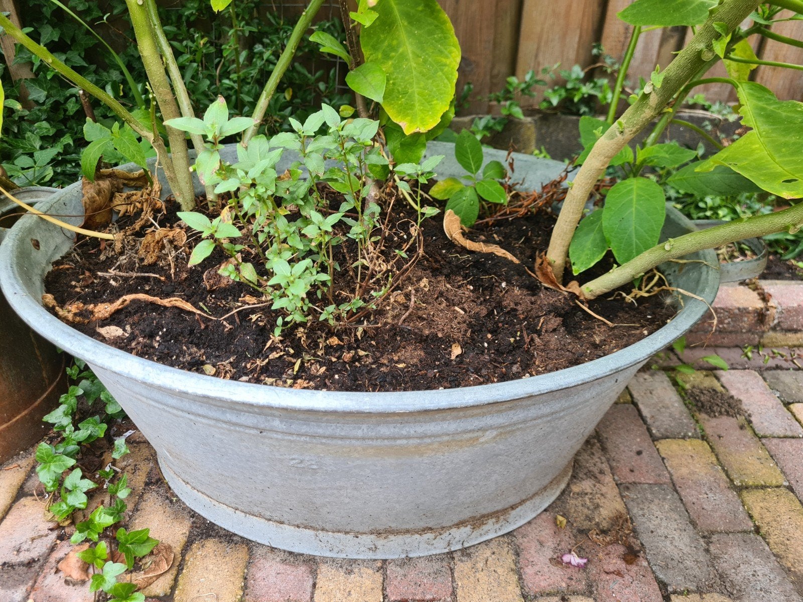 zinken tijl (bloemen bak), Ophalen, Rond, Metaal, Minder dan 30 cm