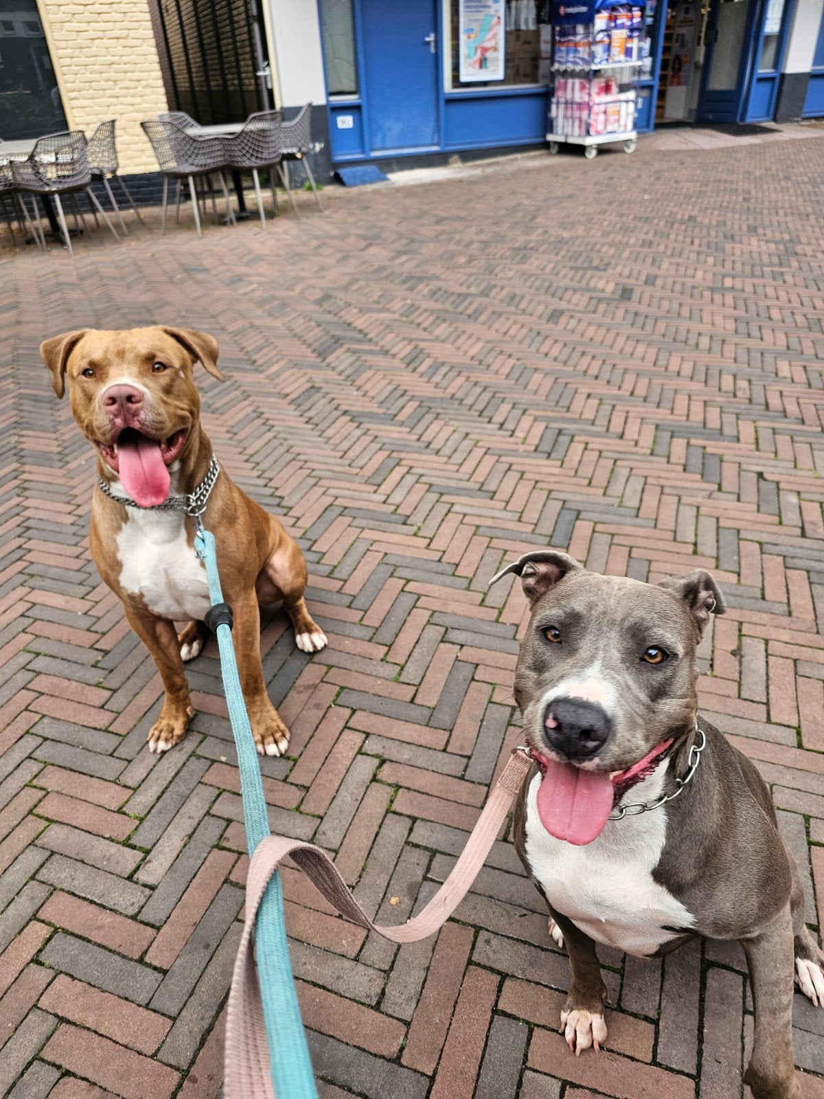 Dogsitter need, Variabele uren, Overige vormen