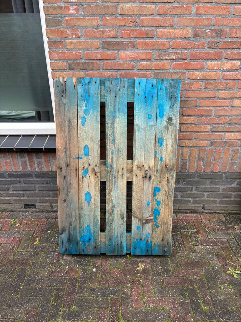 Gebruikte Euro pallet - Ideaal voor decoratie of transport, Ophalen, Zo goed als nieuw
