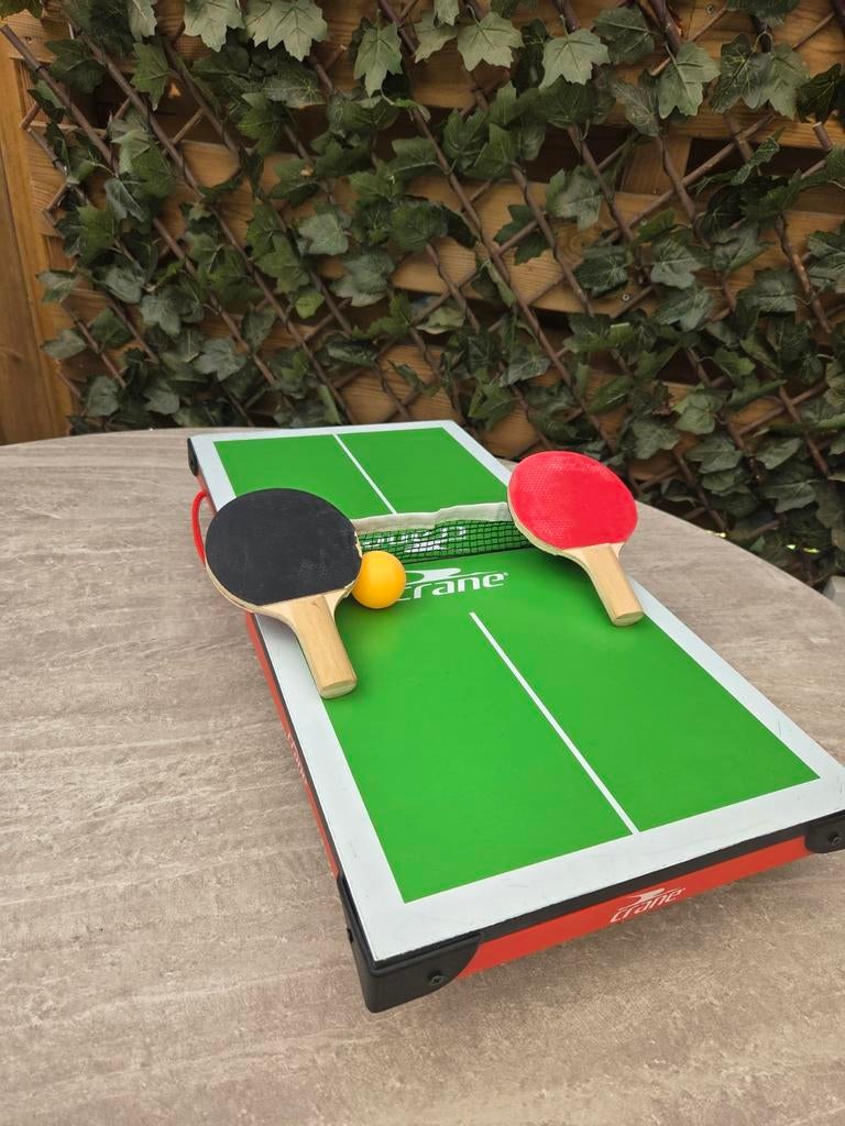 Opvouwbare pingpong tafel, Ophalen of Verzenden, Zo goed als nieuw, Tafel Indoor, Inklapbaar