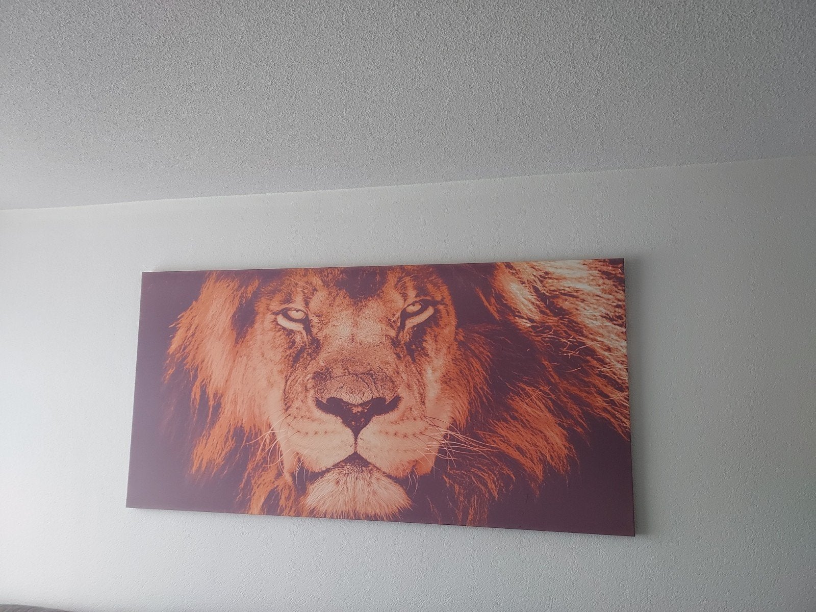 Groot canvas schilderij met leeuwenkop, Ophalen, 125 cm of meer, Zo goed als nieuw, Schilderij