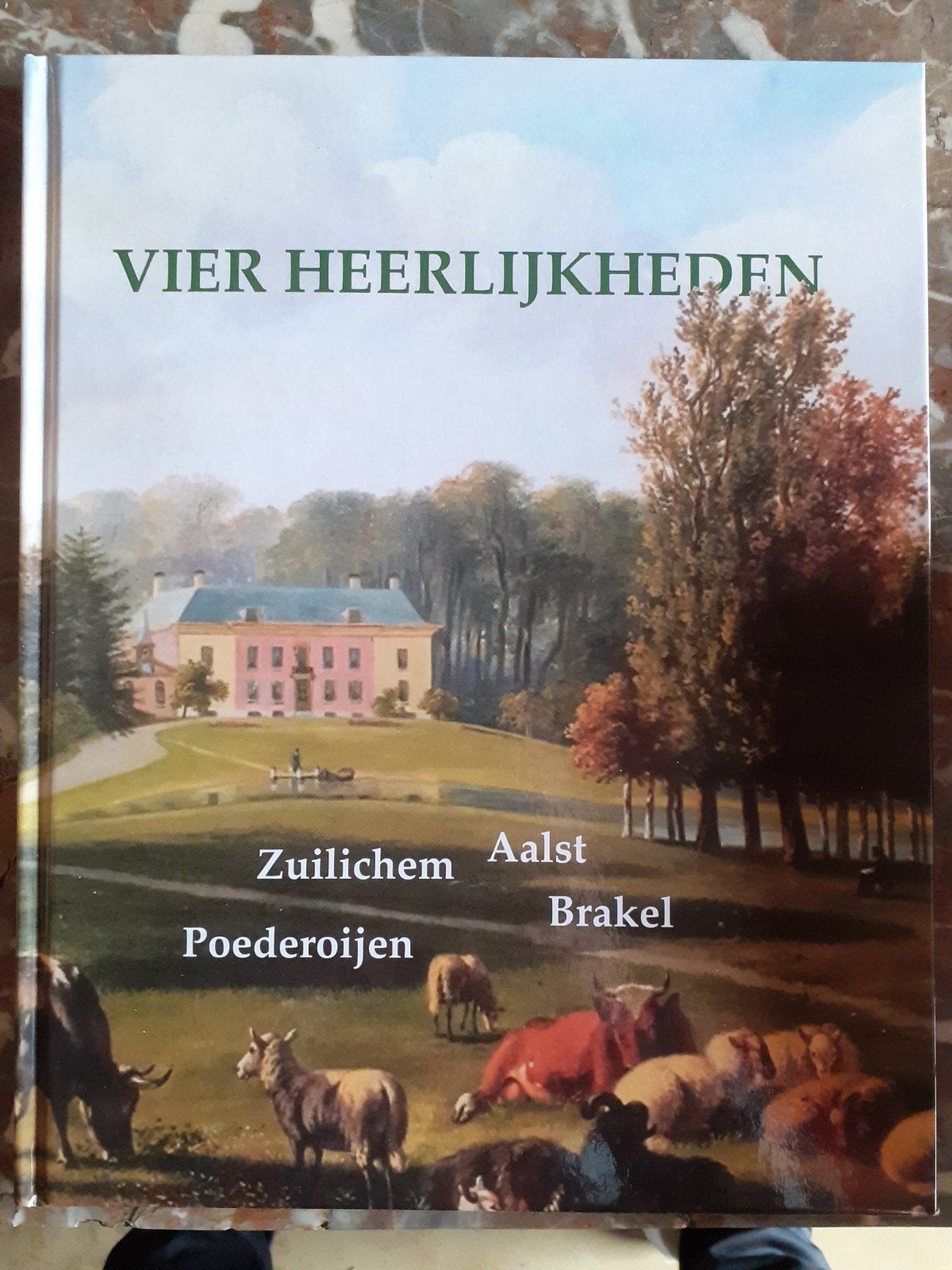 Brakel & Zuilichem, Boeken, Ophalen of Verzenden, Gelezen