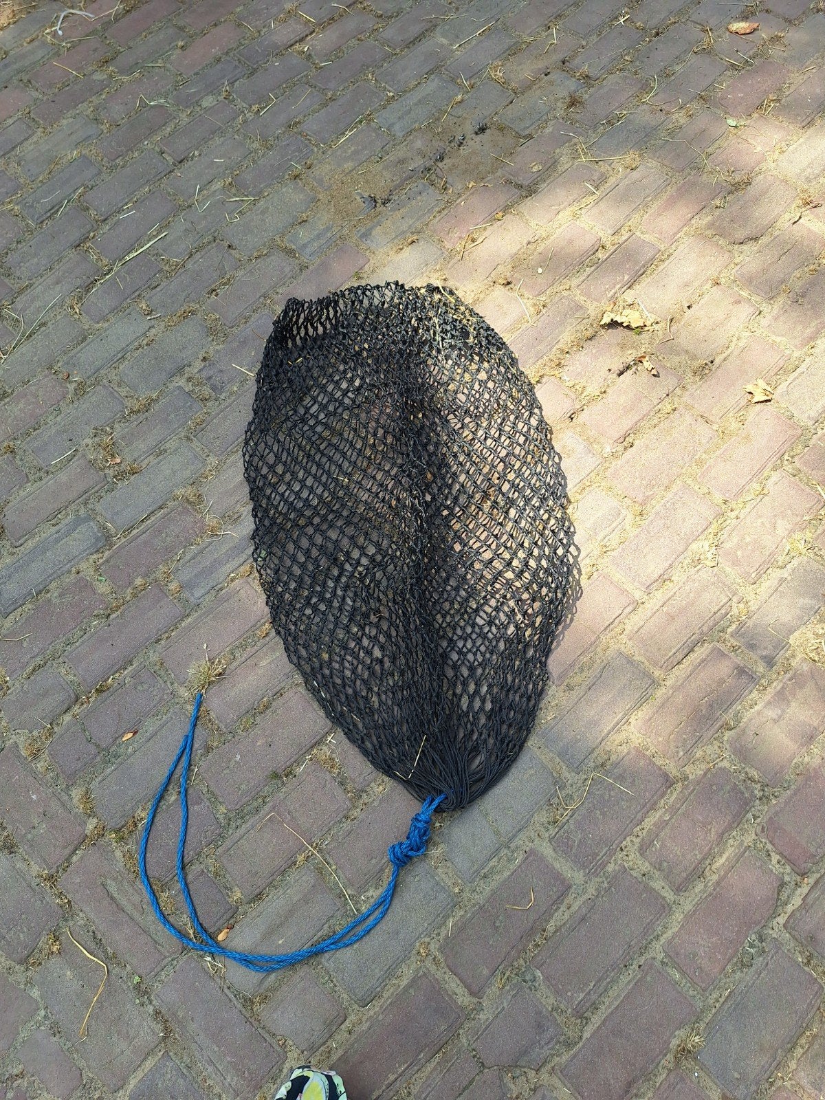 Kleinmazig hooinet, Ophalen