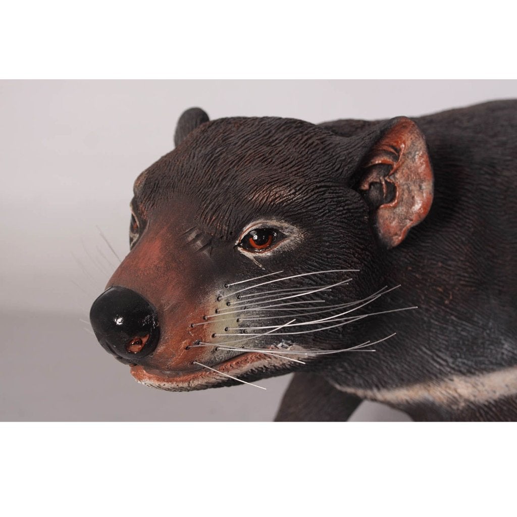 Tasmanian Devil beeld 75 cm - tasmanian devil beeld, Ophalen, Nieuw, Overige typen