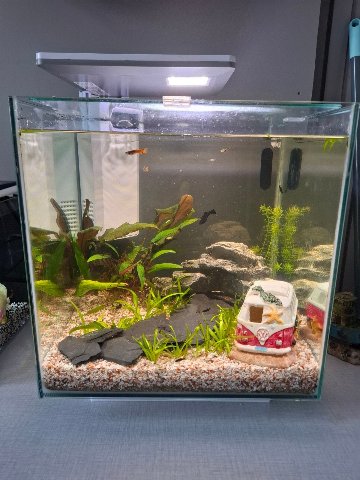 SuperFish Qubiq 30 Pro wit, Dieren en Toebehoren, Ophalen, Inclusief toebehoren, Superfish, Gevuld zoetwateraquarium