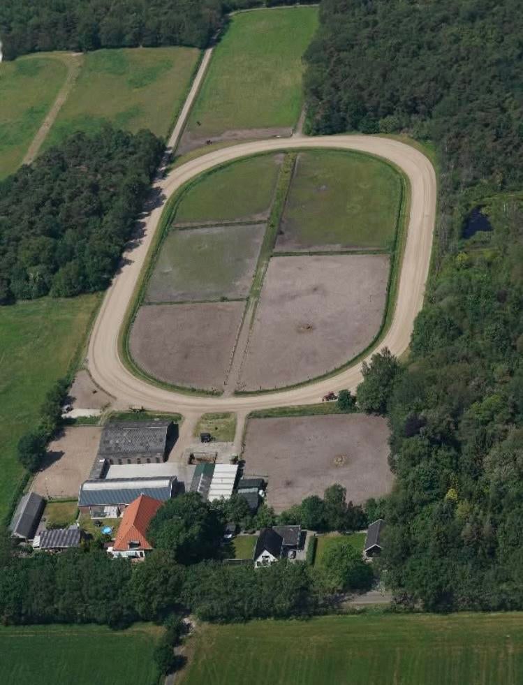 Pension stalling aangeboden op een unieke bosrijke locatie., Dieren en Toebehoren, Paarden en Pony's | Overige Paardenspullen