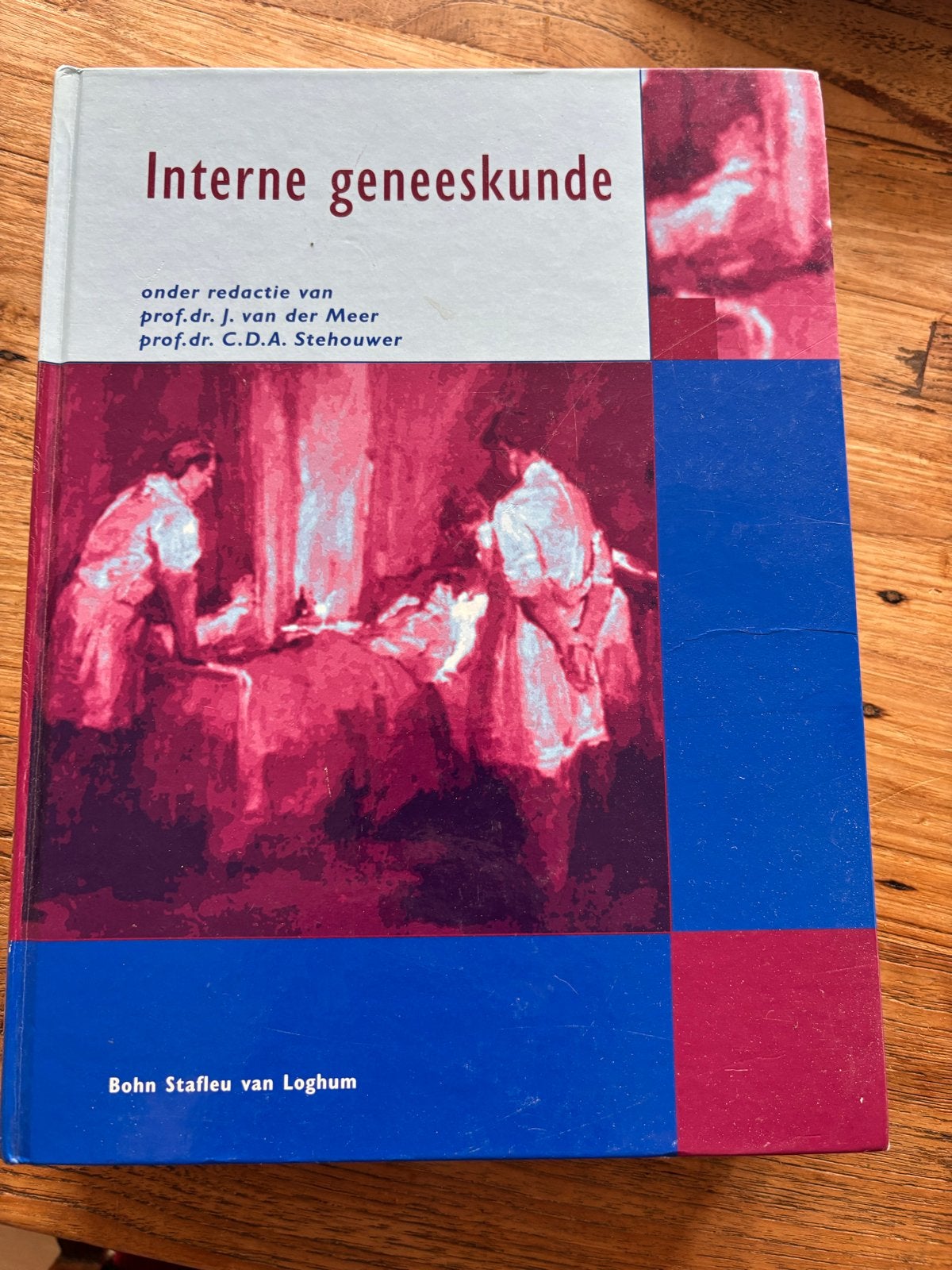 Interne geneeskunde - 13e druk + CD-ROM, Ophalen of Verzenden, Beta, Gelezen, WO