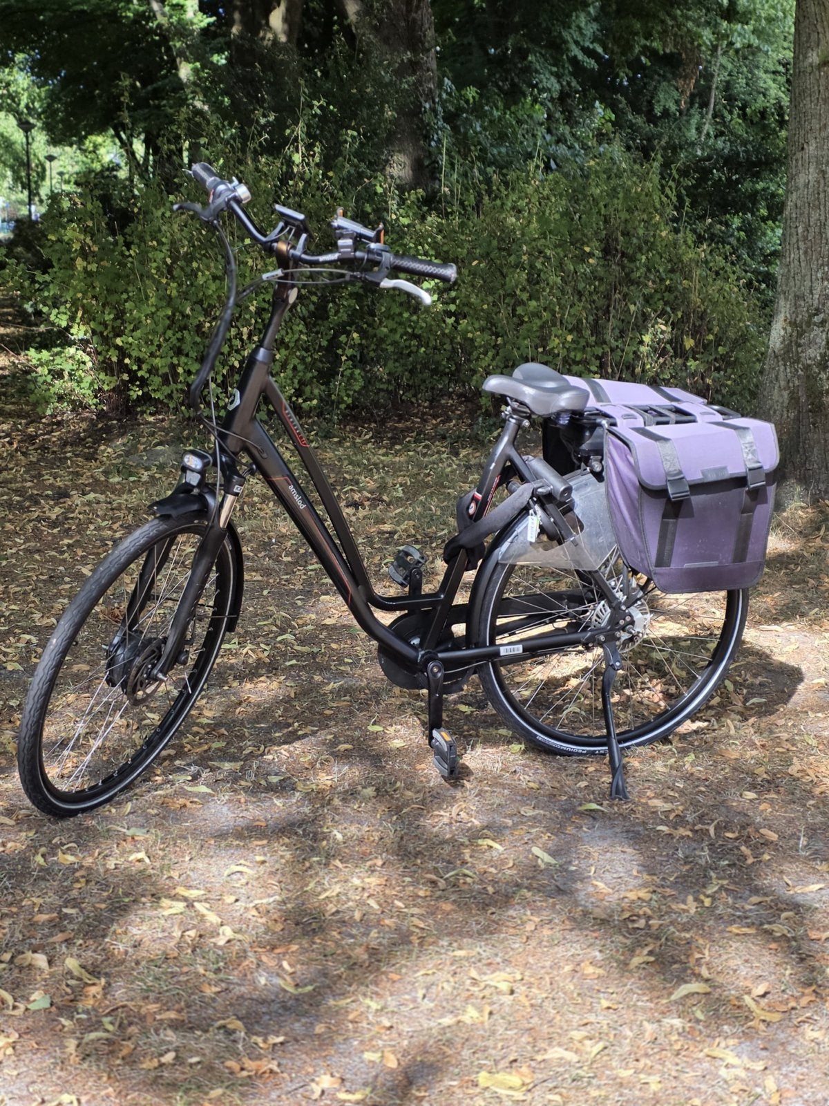 Amslod Newton LTX Elektrische Damesfiets, Gebruikt, 51 tot 55 cm, 50 km per accu of meer, Ophalen