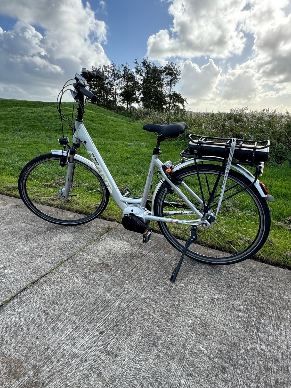 Giant Twist Elegance E-bike - Zo goed als nieuw, Ophalen, Giant, Zo goed als nieuw, 51 tot 55 cm