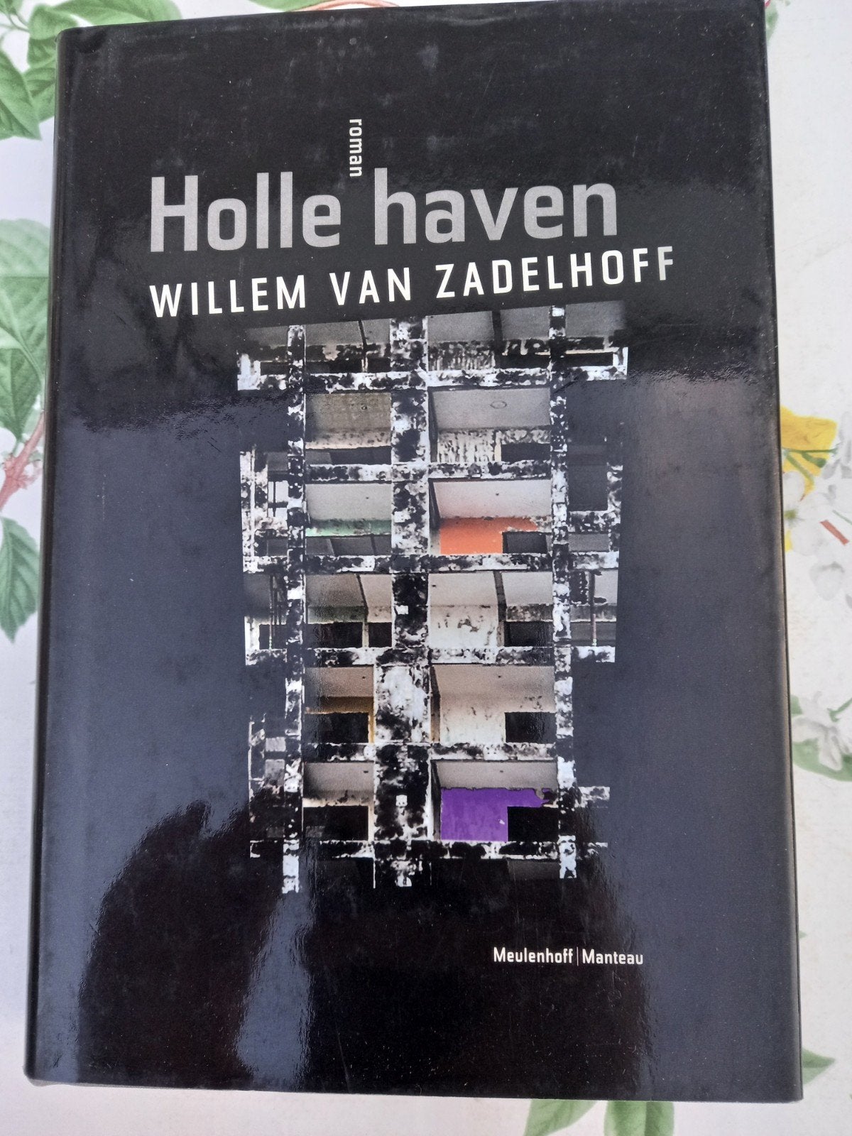 D W. van Zadelhoff - Holle haven, Boeken, Literatuur, Zo goed als nieuw, Nederland, Ophalen of Verzenden
