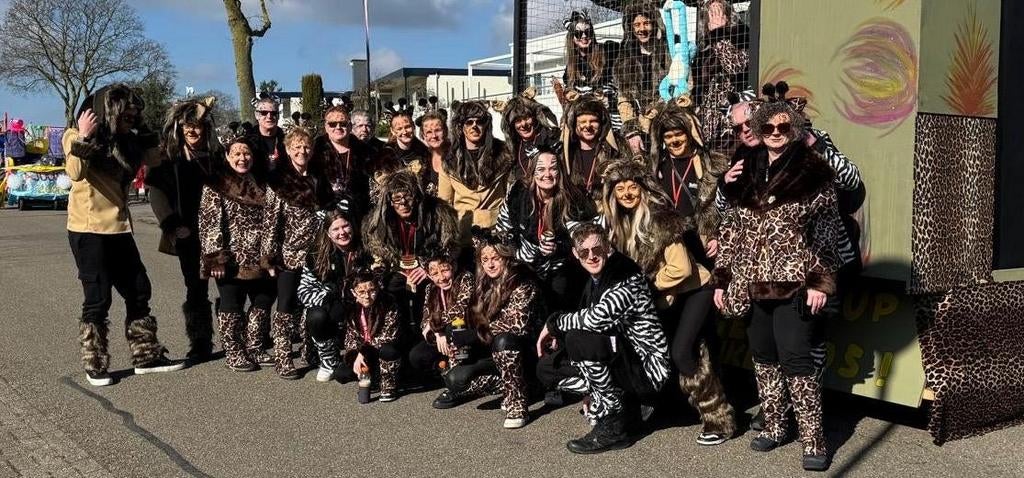 Loopgroep giraffe,  leeuwen, zebra, Ophalen of Verzenden