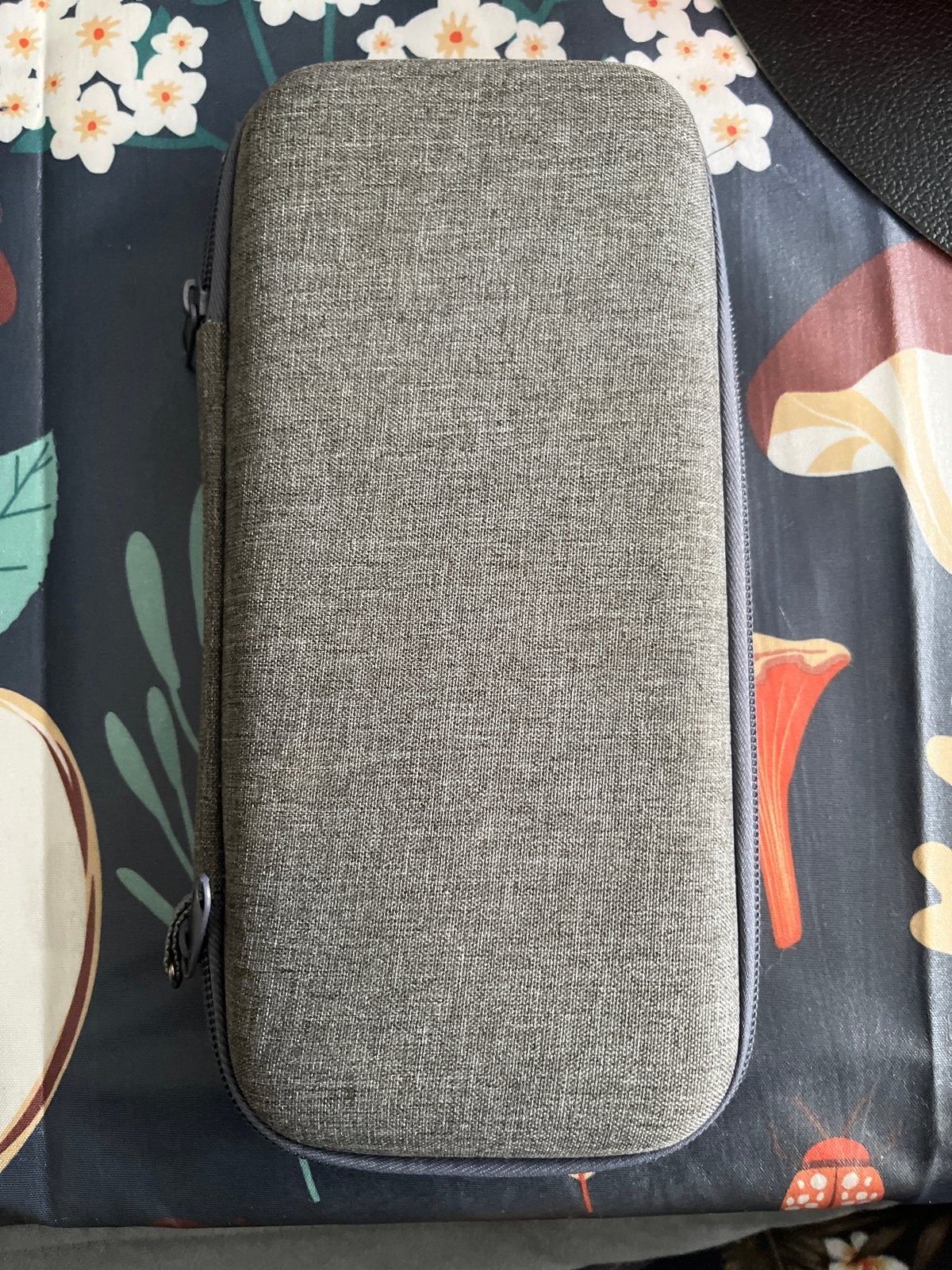 Grijze hoes voor de Nintendo switch 1 en game-accessoires, Overige merken, Ophalen of Verzenden, Zo goed als nieuw, Hoesje