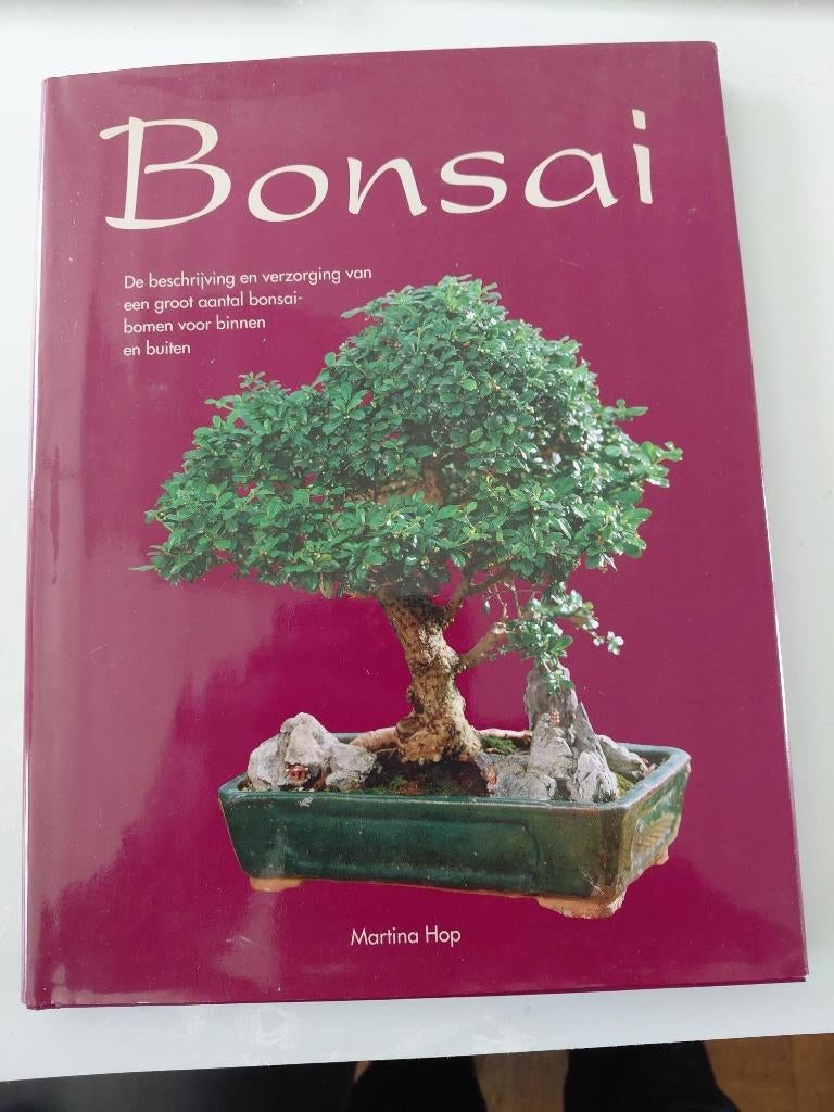 Bonsai boek van Martina Hop, Boeken, Ophalen of Verzenden, Zo goed als nieuw, Overige onderwerpen, Martina Hop