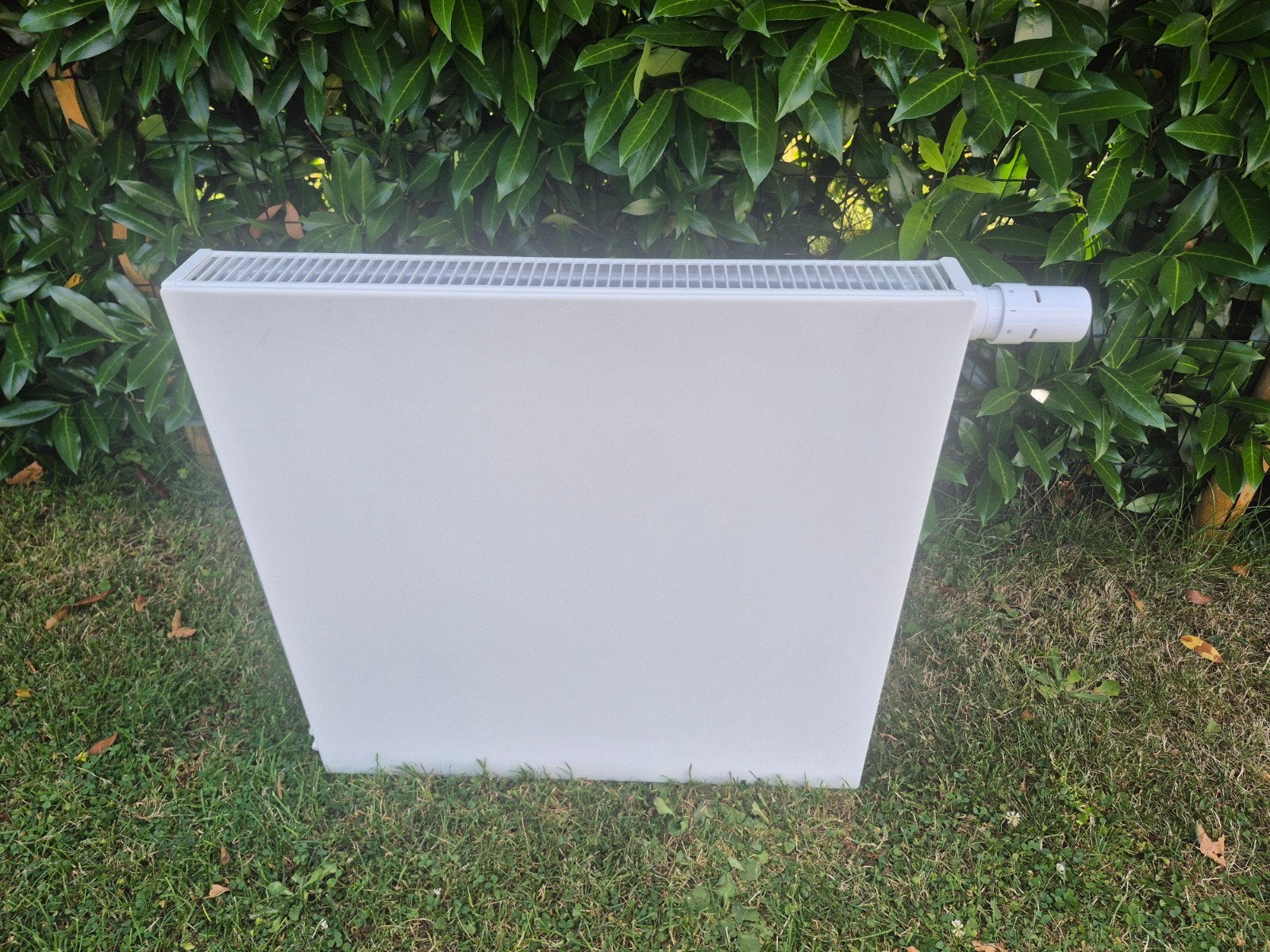 Plateau radiator 600x600 t21, Ophalen, 30 tot 80 cm, Radiator, 60 tot 150 cm