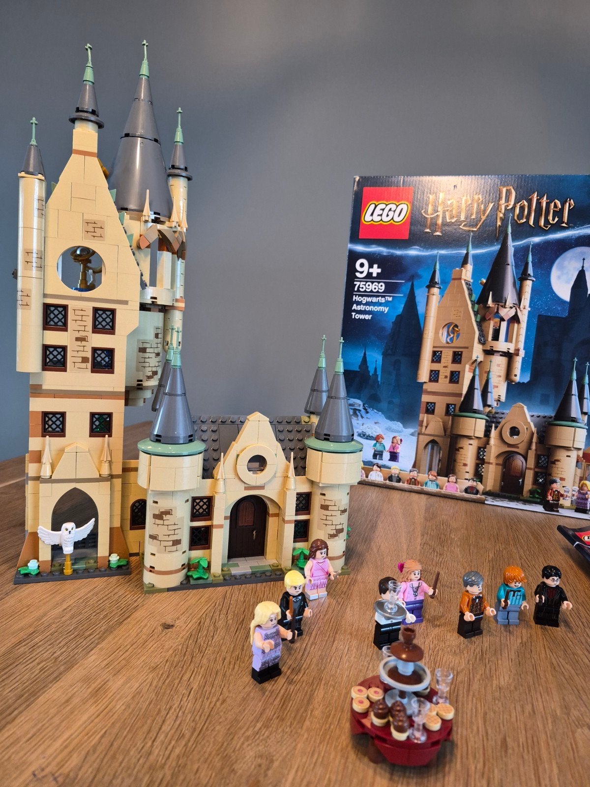 LEGO Harry Potter Zweinstein Astronomietoren 75969, Ophalen, Zo goed als nieuw